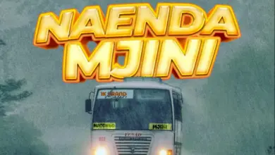 Mc Ngare – Naenda Mjini