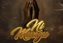 Platform ft Mr Seed – Ni Mungu