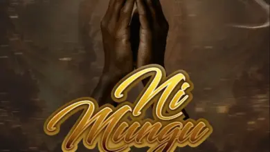 Platform ft Mr Seed – Ni Mungu