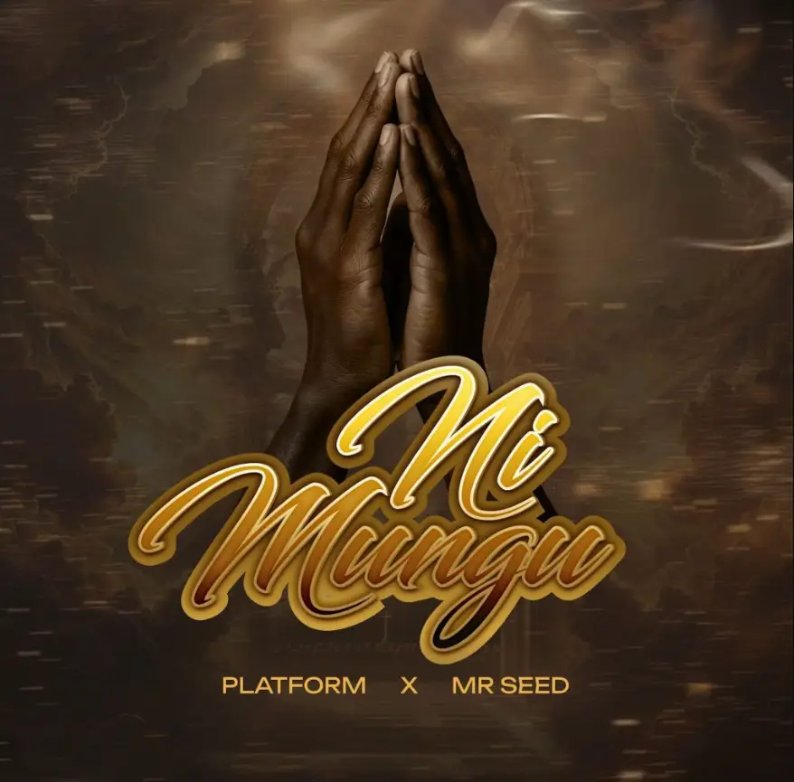 Platform ft Mr Seed – Ni Mungu