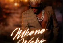 Willy Paul – Mkono Wako