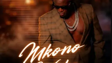 Willy Paul – Mkono Wako